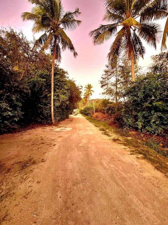 Le Nid De Bea Self-Catering Apartments La Digue Exterior photo